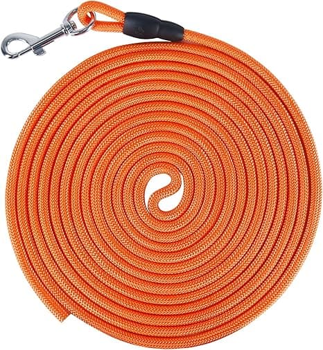 Vivifying 32FT Floatable Dog Check Cord, Orange