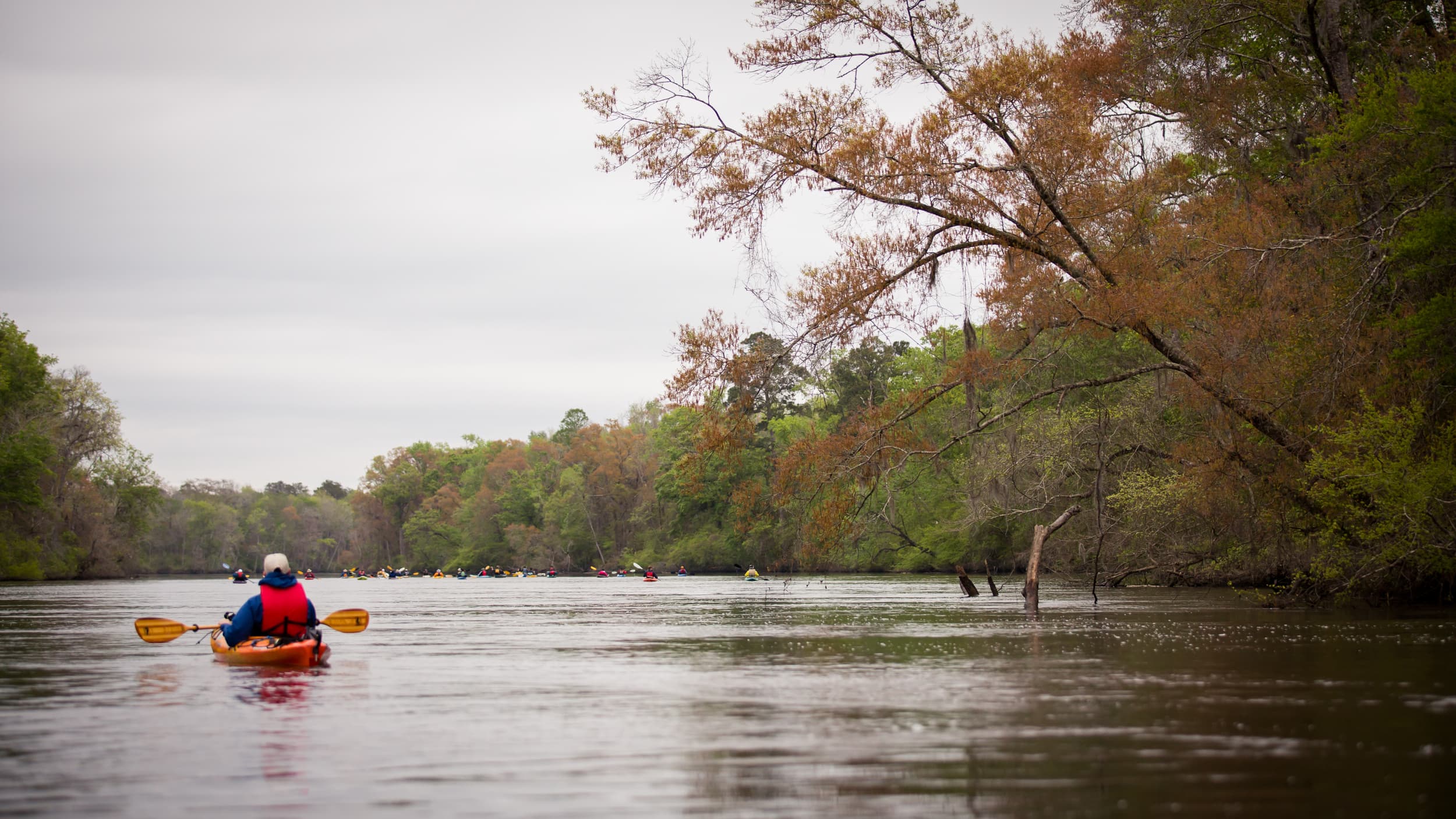 Altamaha River