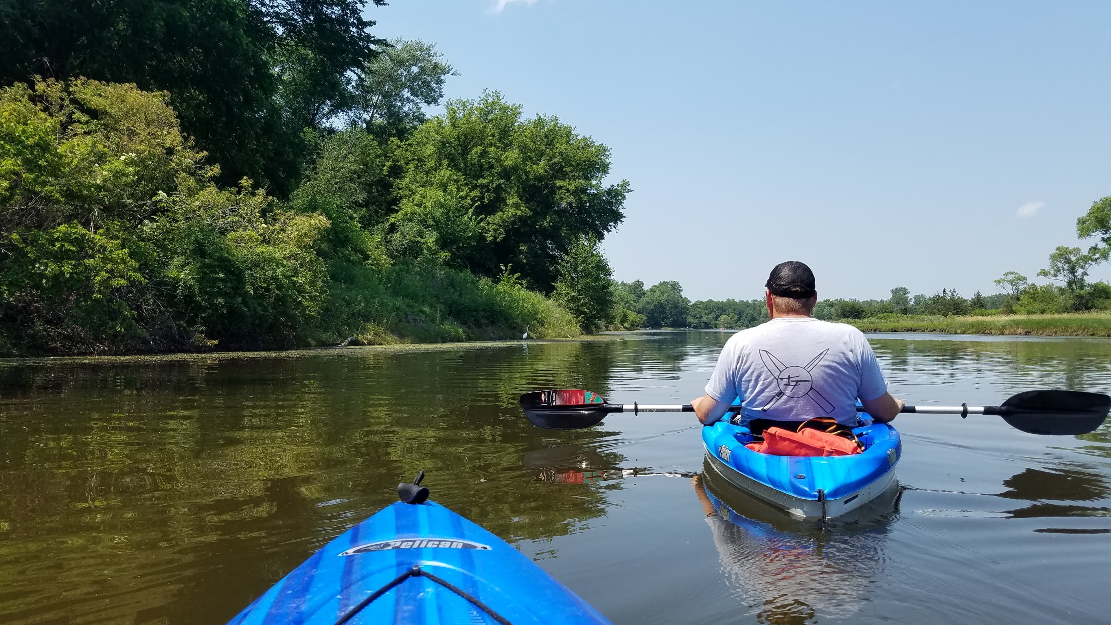  Busse Woods