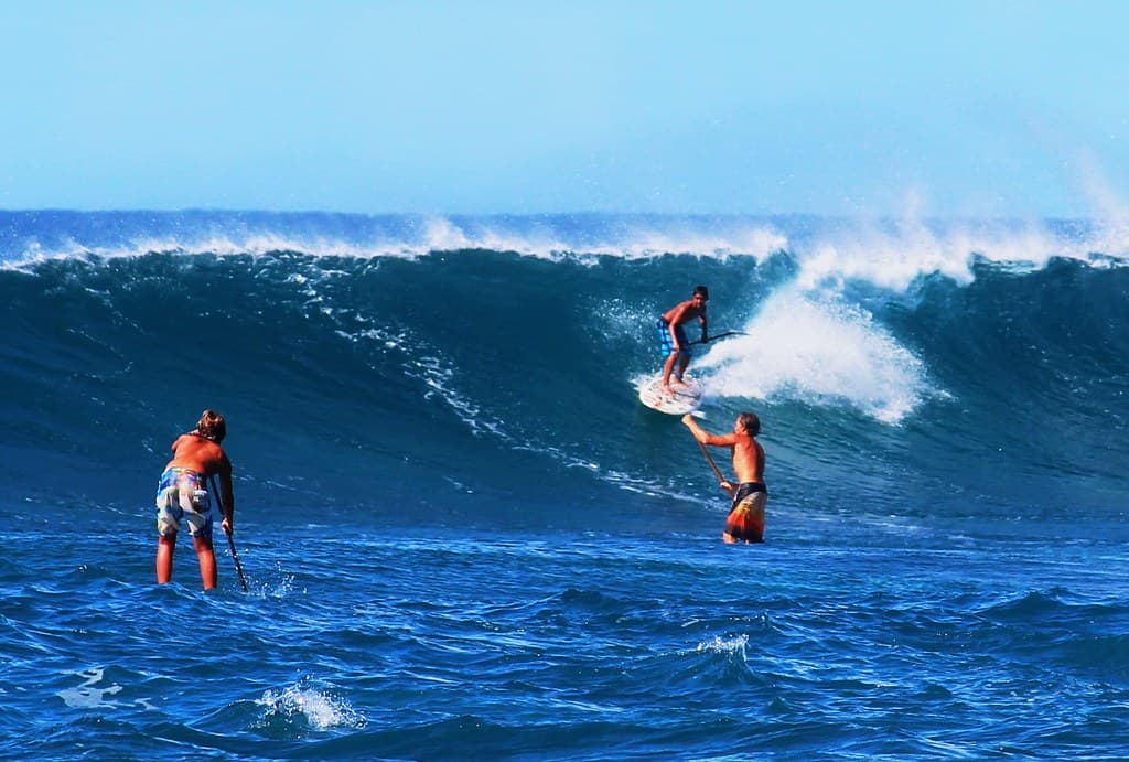 ESSENTIAL PADDLE BOARD GEAR