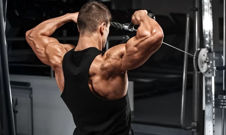 Face Pulls