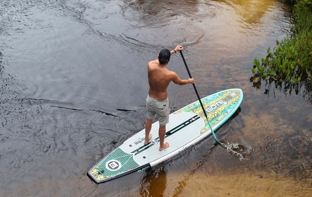 High Society Paddle Board