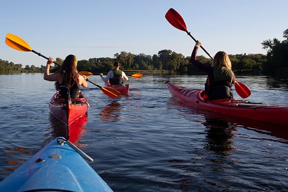 How Fast Can A Pedal Kayak Go?