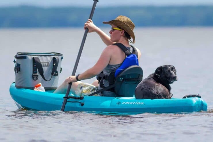 Kayak Cooler