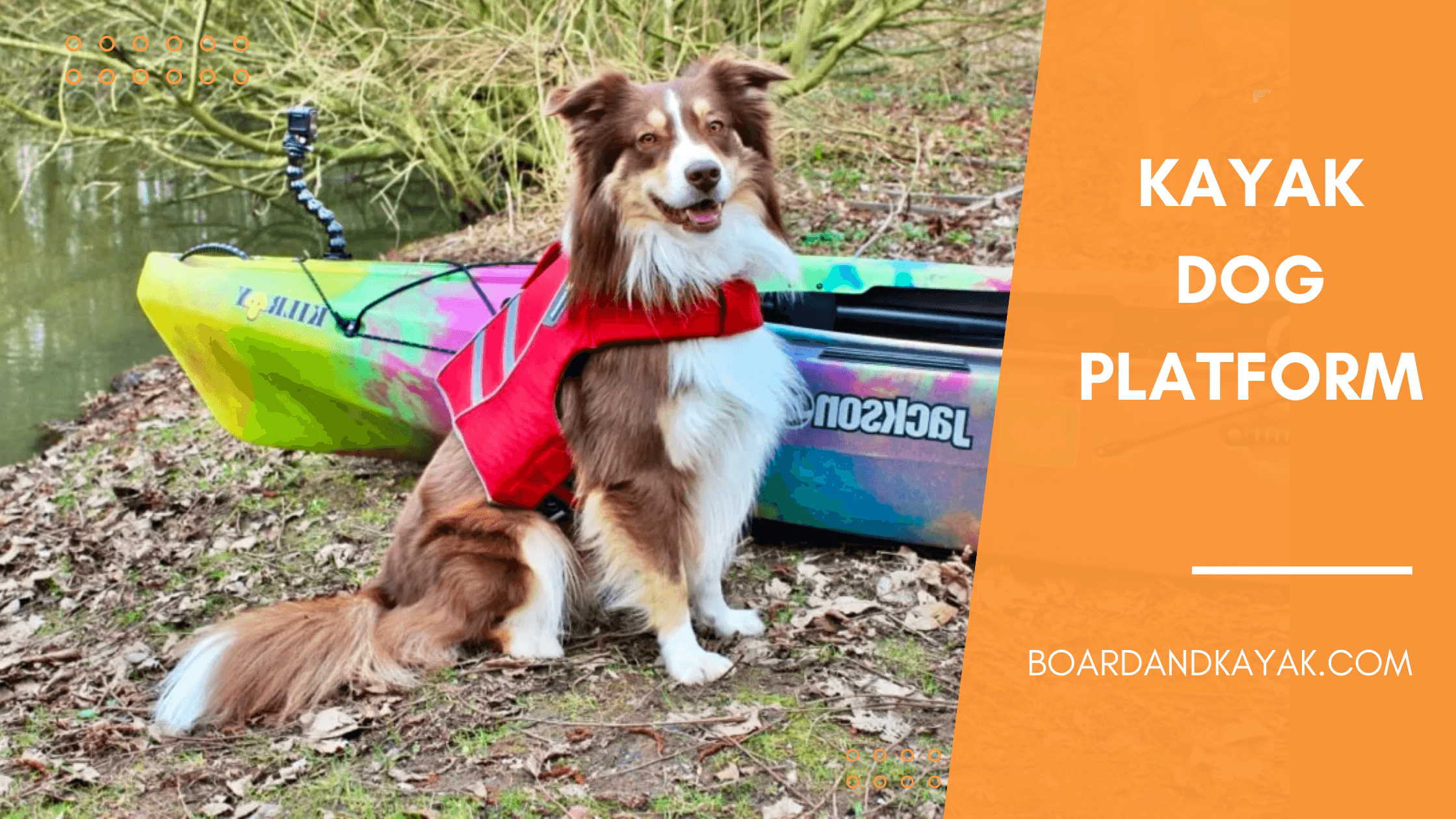 Kayak Dog Platform