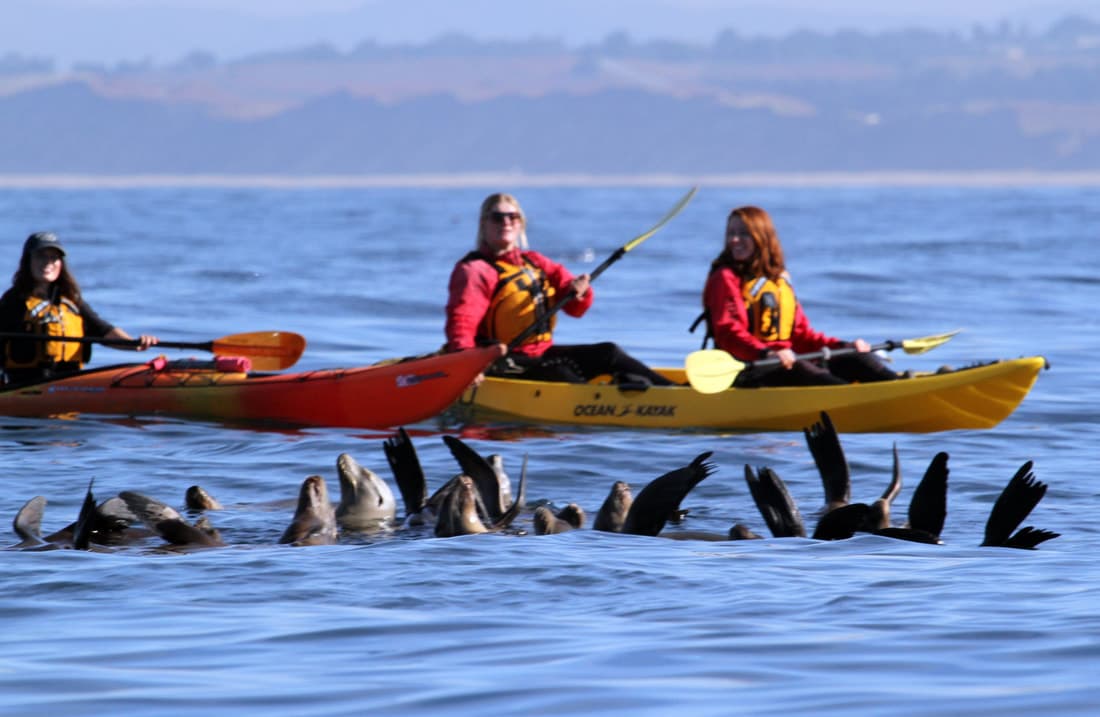 Monterey Bay Kayaks