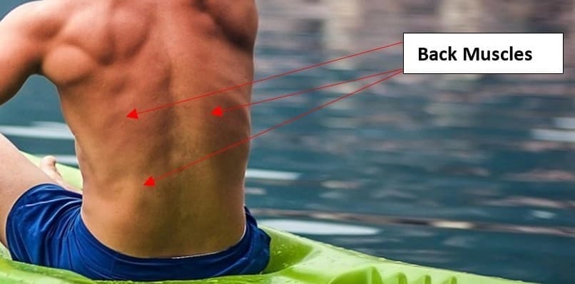Most Comfortable Kayaks for Bad Backs 