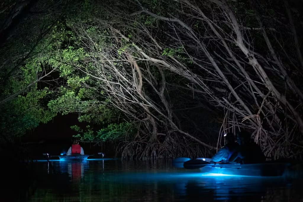 Night kayaking