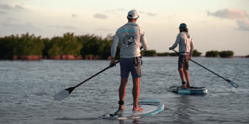 Paddle Board