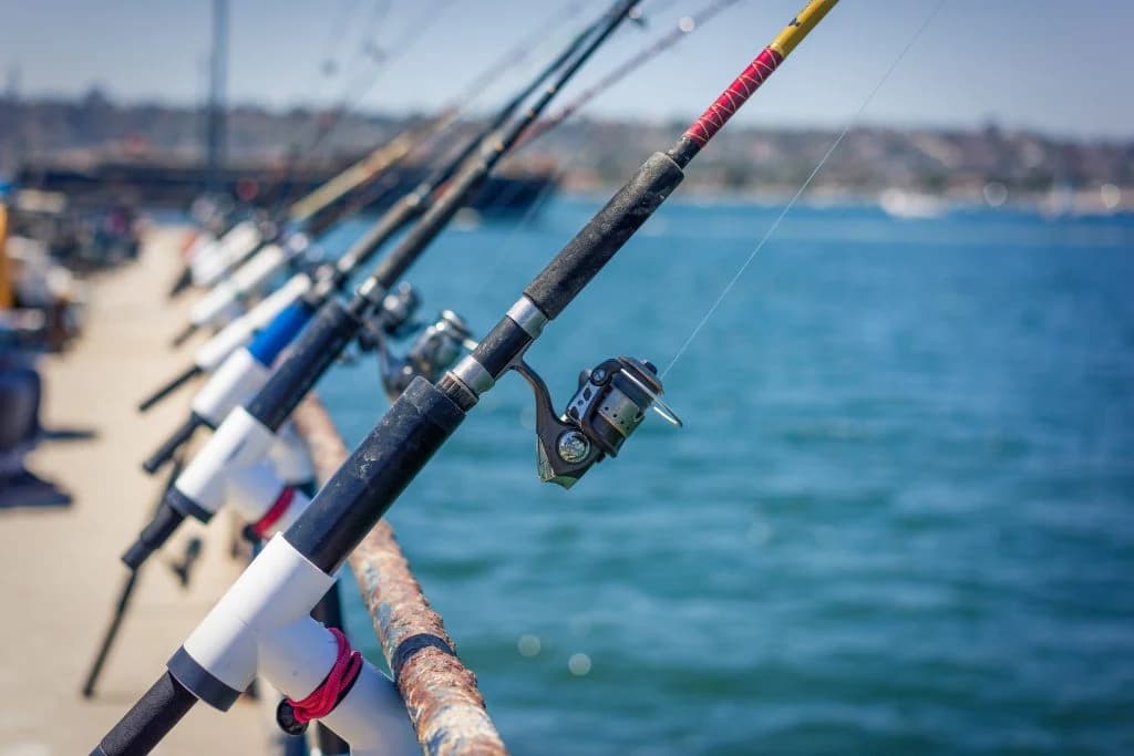 Pier Fishing in San Diego