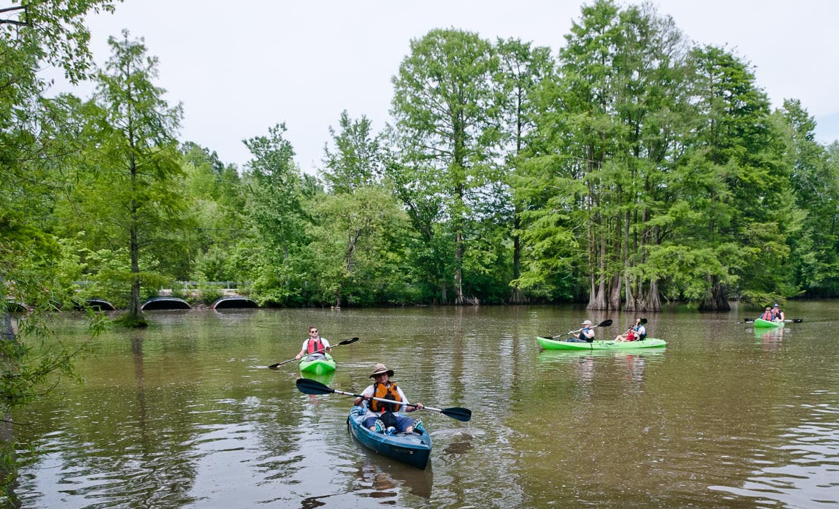 STUMPY LAKE NATURAL AREA