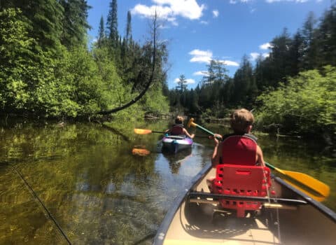 Trips by kayak