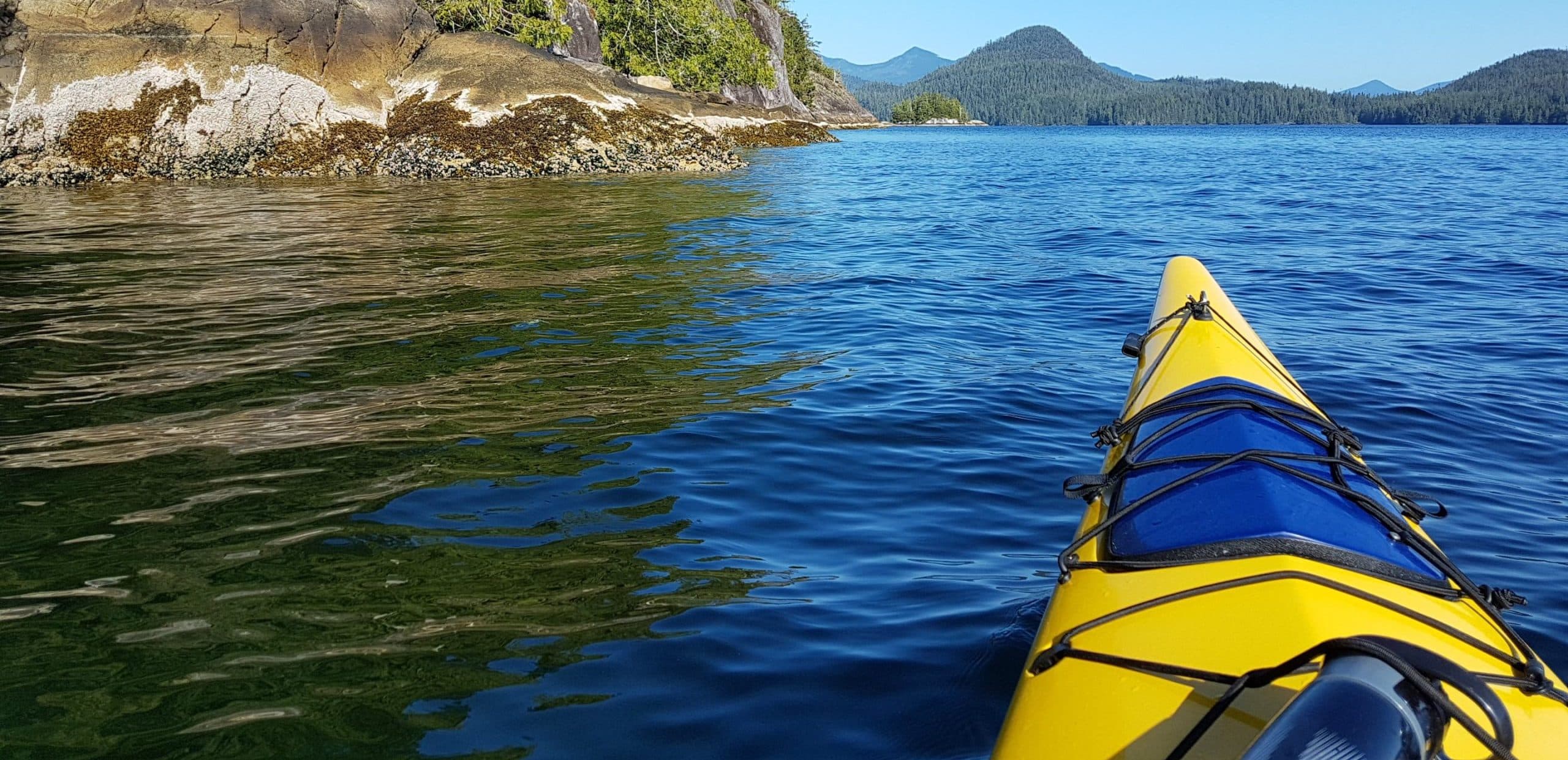 board and kayak