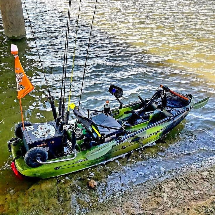 fishing