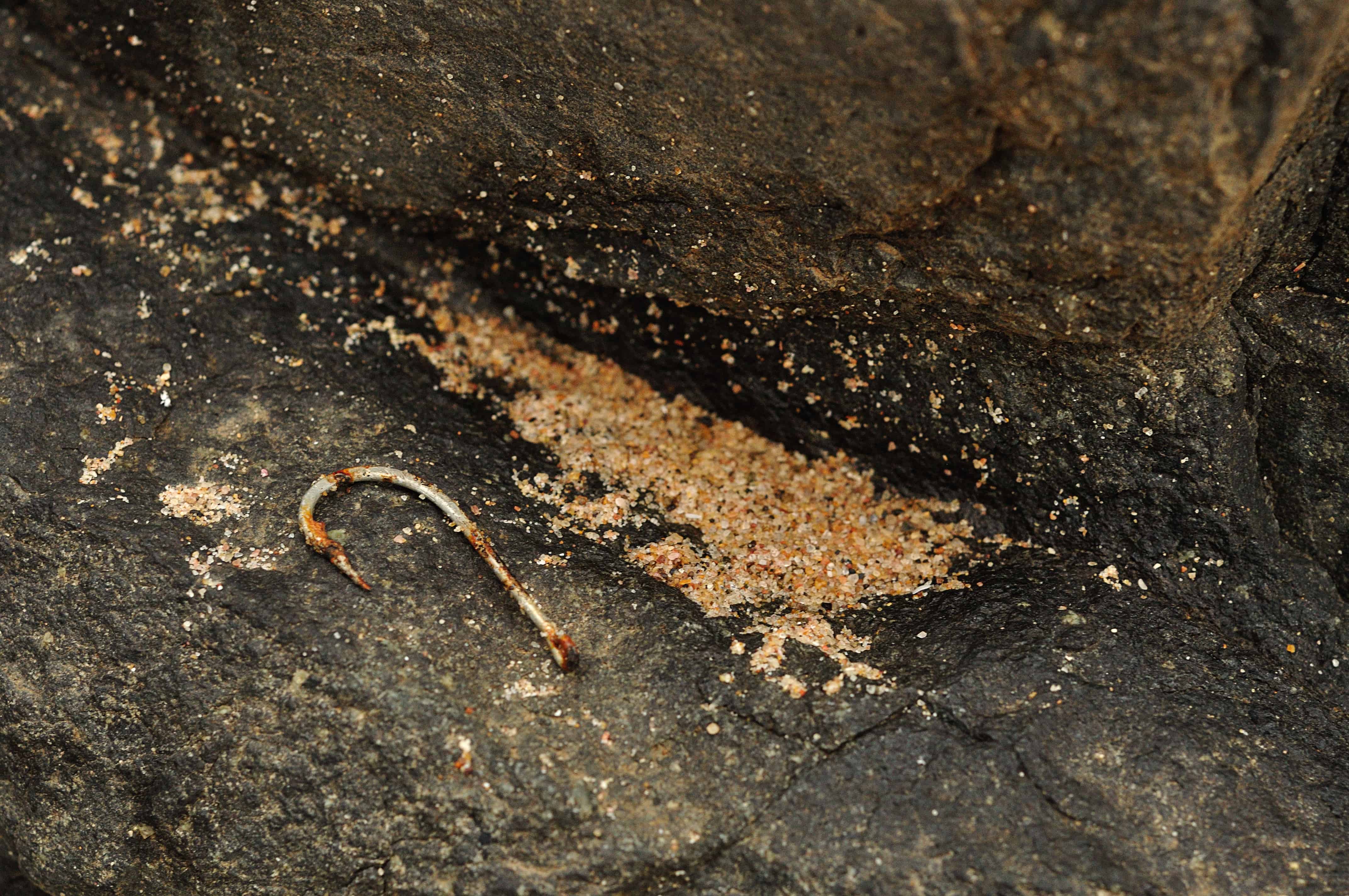 fishing hooks