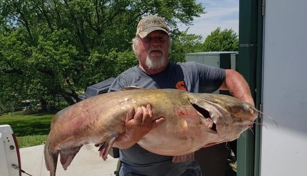 flathead record