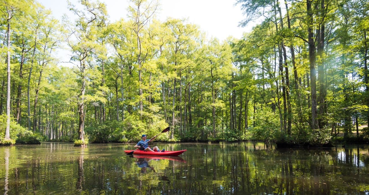 kayak