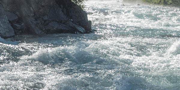rapids
